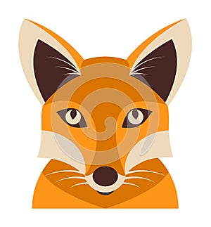 Fox animal face vector