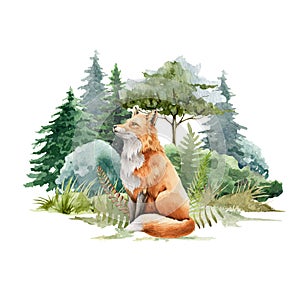 Fox animal in forest landscape. Watercolor illustration. Wild cute red fox in forest scene. Festive print image. Furry