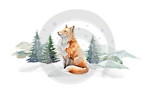 Fox animal in winter landscape. Watercolor illustration. Wild cute red fox in winter forest. Festive image print. Furry