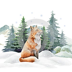 Fox animal in winter landscape. Watercolor illustration. Wild cute red fox in winter forest. Festive print image. Furry