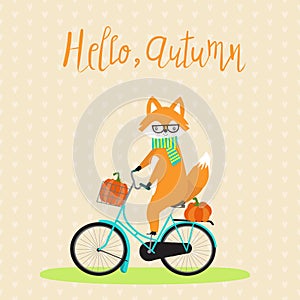 Fox with bicycle and pumpkins autumn season.illustration EPS 10