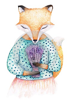 A fox breathing lavender bouquet`s scent. Watercolor illustration isolated on white background.