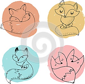 Fox characters, cute, lovely illustrations