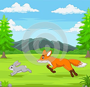 The fox is chasing a rabbit in an African savanna