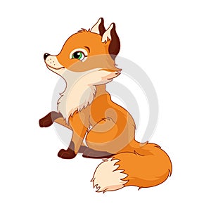 Fox cub cartoon vector illustration