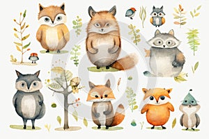 Fox design cute zoo animals art cartoon forest print raccoon character set drawing