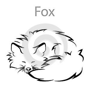 Fox, element for design, print. vector illustration
