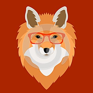 Fox face in glasses vector illustration flat style front