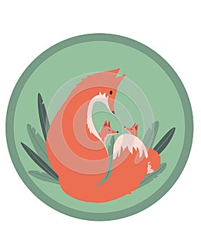 Fox and fox cubs colored silhouettes on a green round background with grass. !artoon wild orange fox. Hand drawn foxes in simple