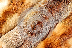 The fox fur