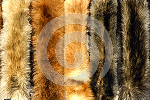 Fox fur