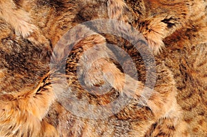 Fox fur
