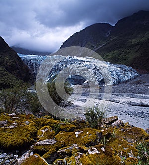 Fox Glacier