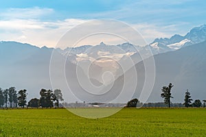 Fox glacier with green glass field, New Zealand