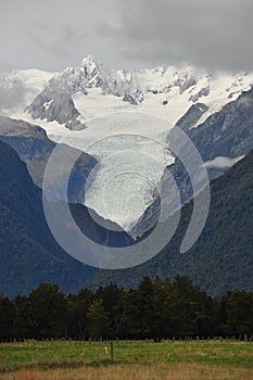 Fox glacier, New Zealand