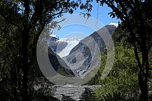 Fox Glacier, Te Moeka o Tuawe through trees NZ