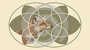 Fox Head in Geometric Pattern. Cleverness, wild nature and abstract art, vector design Generative AI photo