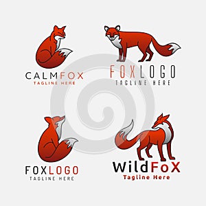 Fox Logo With 4 Style Position