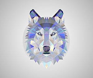 Fox logo vector design