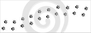 Fox paw print trail. Dog, cat paws foot print trace. background vector illustration