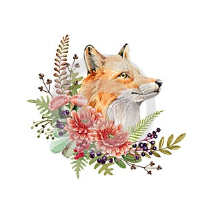 Fox portrait flower arrangement. Watercolor illustration. Wild cute red fox animal autumn flowers, forest berries. Furry