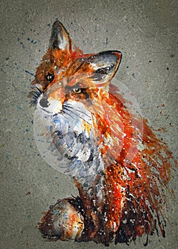 Fox predator watercolor painting drawing animals