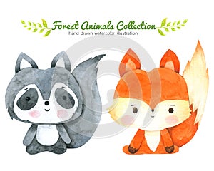 Fox and Raccoon Cartoon watercolor collection isolated on white background ,Forest Animal Hand drawn painted character for Kid