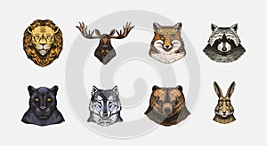 Fox and raccoon, dog Deer and hare, panther and wolf monkey Polar bear and lion, Brown bear and bull.. Animal in vintage