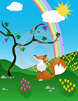 The Fox and the rainbow