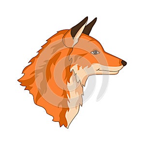 Fox red head face realistic