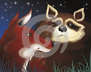 Fox and scared racoon by night