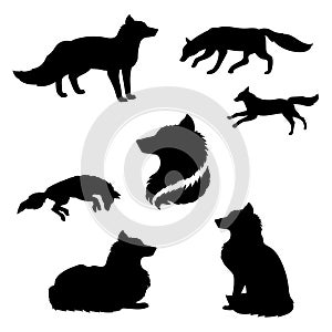 Fox set vector