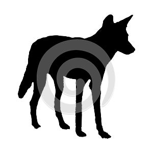 fox silhouette. fox black color filled. vector. isolated on white background