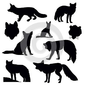 Fox Silhouette Set