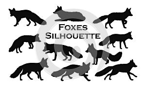 Fox silhouette set. Vector illustration