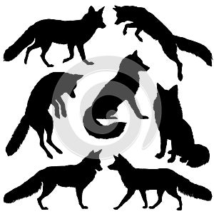 Fox silhouette. Set. Vector illustration isolated on white background
