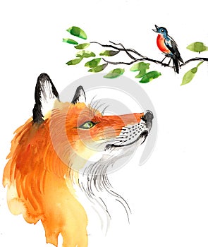 Fox and singing bird