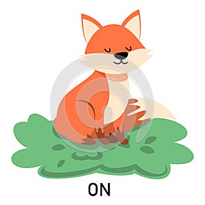 Fox sitting on the bush