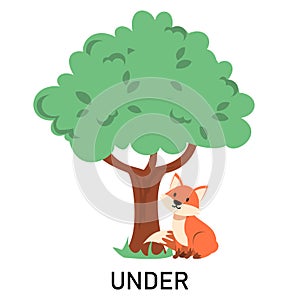 Fox sitting under the tree