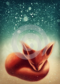Fox sleeping in winter forest
