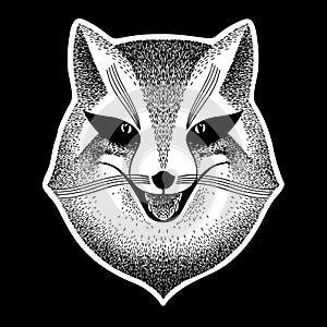Fox. Stylized portrait of a sly fox on a black background. Sly fox smiles. Black and white sketch. Liar, dodger
