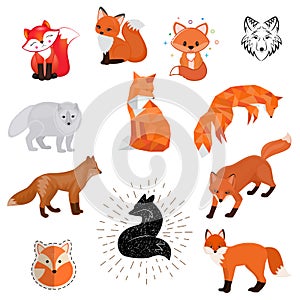 Fox vector cartoon cute illustration of animal wild logo, flat, sketch design wildlife foxy baby isolated wild animal on