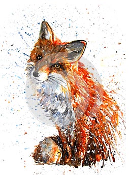 Fox