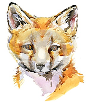 Fox Watercolor illystration. forest wildlife. Cartoon woodland animal.