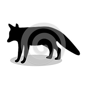 Fox wildlife black silhouette animal