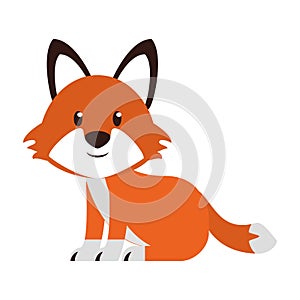 Fox wildlife cute animal cartoon