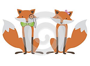 Foxes couple illustration