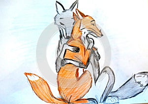 Foxes. A pair of foxes.The gray Fox . red fox.