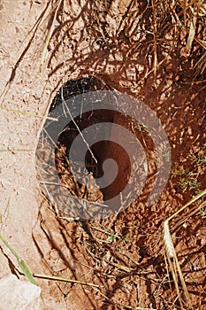 Foxhole in field in Turkey photo