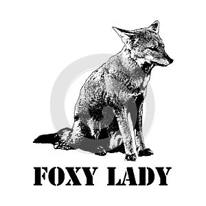 Foxy lady concept illustration